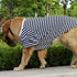 Dog Shirts for Large Dogs, Dog Striped T Shirt Dog Shirts Oversized Breathable Pet Pullover Clothes Puppy Apparel for Medium to Large Dogs (Size L)