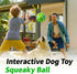 2 Pack, 3.14 inch Giggle Ball for Dogs Glowing Interactive Dog Toys Balls, Rolling Squeaky Toy for Large Medium Small