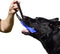 Dingo Gear Tug Toy for Dog Training, Agility Tug of War, French Linen Dog Bumper with Handle, 6" Blue