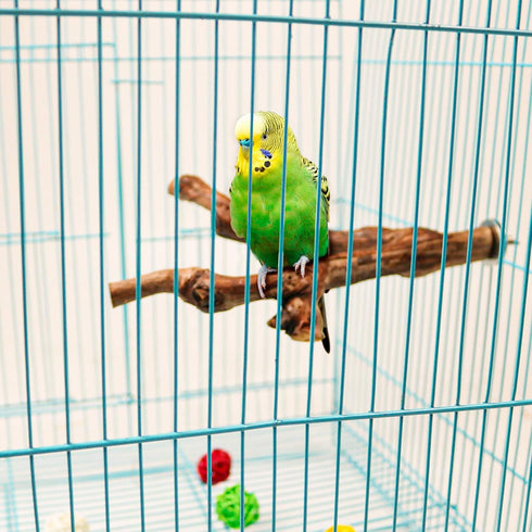 2 Packs Parrot Bird Perches - Natural Wild Grape Stick Grinding Paw Climbing Cage Accessories Toy for 3-4 Parakeets