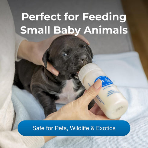 PetAg 2 oz 2 oz. 5 Pet-Ag Nursing Kit - - Promotes the Natural Feeding of Liquids to Baby Animals - Each Kit Includes