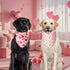 Agroon 3PCS, 6 Dog Valentines Bandana XLarge Pattern Sweetheart Scarf for Boy and Girl, Red Pink Black Triangle