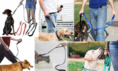 Reflective Nylon Dog Leash - Heavy Duty Hero Leash with Two Handles for Night Safety Training, 6FT×1'' Light Blue