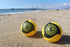 (2 Pack) Spikeball Pro Balls