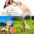 Puppies Pet Multiple Designs Rope Dog Chew Toys - 15 Pack Cute Stuffed Plush Squeaky Toys for Small Medium Dogs
