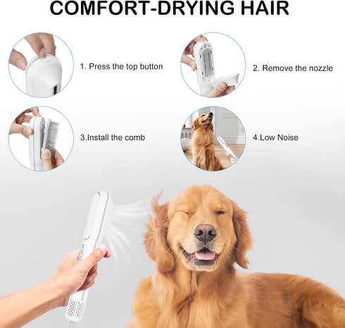 Pet Hair Dryer and Brush 2 in 1, High and Low Temperature, 3 Wind Speed Adjustment, 800W Power for Small Medium Cats