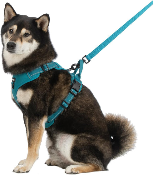 Voyager No Pull Dog Harness for Small Dogs, Adjustable Soft Pet Harness with Dual Leash Attachments, Turquoise Nylon