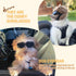 Enjoying Dog Goggles for Small Breed, UV Protection Sunglasses, Driving Eye Protection, Black