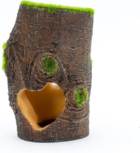 Penn-Plax Aqua-Flora Living Resin Decoration with Embedded Glosso Plant Seeds - Safe for Freshwater Fish