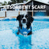 ALL FOR PAWS Chill Out Ice Bandana, Large Size