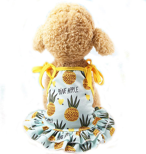 Pet Clothes, Summer Fruit Dog T-Shirt & Skirt Dress for Small Dogs & Cats (M-Back Length 30cm, Pineapple)