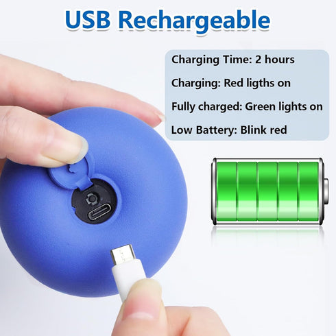 Saolife Interactive Dog Toys with Motion Activated, Squeaky Dog Toy Active Rolling Ball for Puppy and Medium Dogs, USB