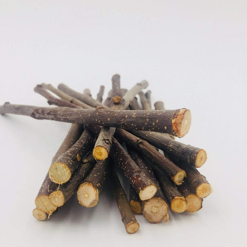 William Craft Apple Sticks - Pet Chew Toys Treats for Chinchilla, Guinea Pigs, Rabbits, Squirrel, Hamster, Bunny