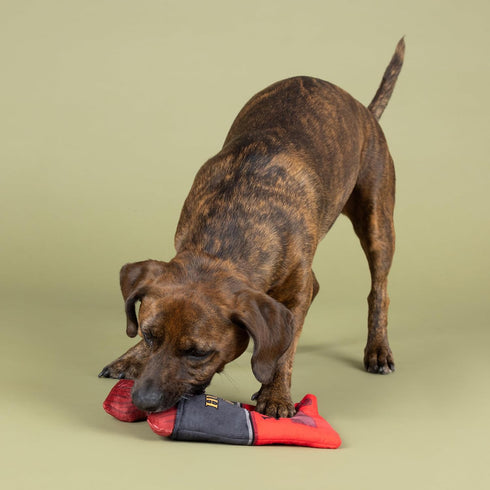 Fringe Studio Plush Dog Toy, Snack Attack, Hide & Seek Interactive Pet Toy, Pet Shop Collection