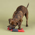 Fringe Studio Plush Dog Toy, Snack Attack, Hide & Seek Interactive Pet Toy, Pet Shop Collection