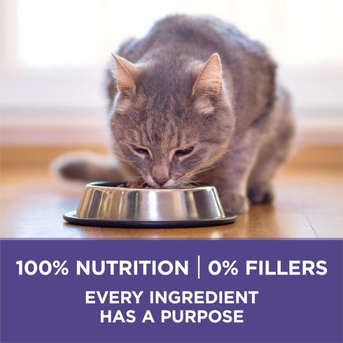 Purina ONE Natural Cat Food for Hairball Control, +PLUS Hairball Formula, 16 lb Bag