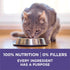 Purina ONE Natural Cat Food for Hairball Control, +PLUS Hairball Formula, 16 lb Bag