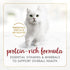 (Pack 48) 3 oz. Fancy Feast Purina Gravy Lovers Beef Feast Grilled Gourmet Cat Food in Wet Cat Food Gravy - of Cans