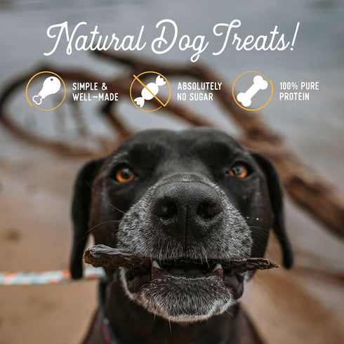 Beg & Barker Beef Liver Jerky for Dogs, 4 Ounce, Natural Dog Treats Made in The USA, Grain Free