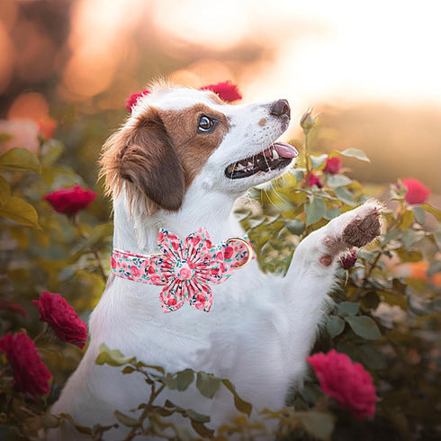 Cute Pink Flowers Print Dog Collar, Soft Adjustable Pet Collar with Metal Buckle Gift for X-Large Dogs