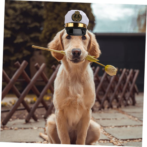 BESTOYARD Pet Headpiece Kitten Accessories, Dog Cap, Sun Hat, Cosplay Accessories for Halloween Costumes