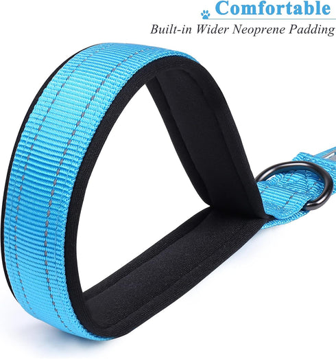 VIVAGLORY Short Dog Leash, Short Traffic Leash for Dogs, Short Training Leash for Medium & Large Dogs, 12INCH, Lake Blue