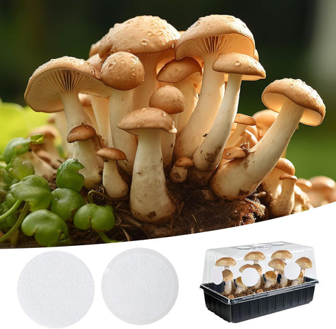 YINORD 12PCS 2.5in Replacements.(2mm (24PCS) Monotub Adhesive Filter Disks, Mushroom Monotub Filter Discs, Mushroom