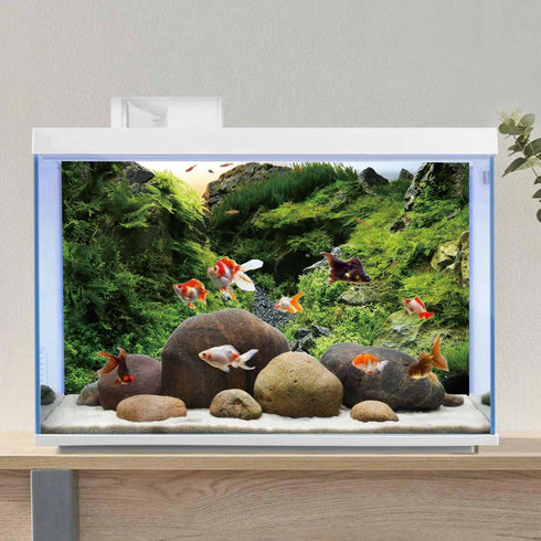 AWERT 72x18 inches Seagrass Aquarium Background, Aquatic Plant River Bed & Lake Fish Tank Vinyl Background