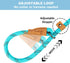 5 FT Heavy Duty Slip Lead Dog Leash for Small Medium Large Dogs, No Pull Training with Reflective Thread, Teal Stripe,