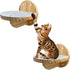 2 PCS Wall Mounted Cat Climbing Shelf, Wooden Steps Cat Wall Ladder for Climbing Perch Platform