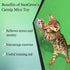 SunGrow Cat Catnip Mice Toys, Furry Plush, 2”, 10 Pcs per Pack, Interactive, Multicolor