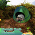 Generic Hermit Crab Climbing Toys - Hermit Crab Climbing Tank Accessories Hide, Hermit Crab Climbing Toys, Hermit Crab
