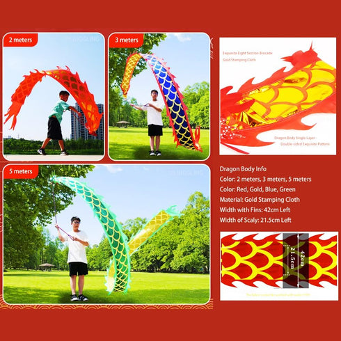 PAIKOOL 3D Set Dragon Poi with Plastic Dragon Head, Swing Rope and Hot Stamping Golden Ribbon Streamer, Outdoor Fitness