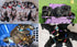 YOY 14 pcs/Set Soft Nylon Puppy Whelping ID Collars, Adjustable Breakaway Litter Collars for Breeders