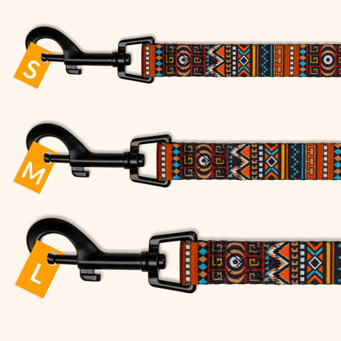 CollarDirect Aztec Dog Leash, Nylon Tribal Pattern Pet Leash for Small Medium Large Dogs, 5 FT Long for Walking