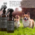 Muse Apothecary Pet Ritual Pet Cologne Spray for Dogs - Dog Perfume Spray Long Lasting After Bath - Pet Perfume for Dogs - Pet Deodorant Spray for Dogs - Essential Oils Infused - 4oz, Lavender Fields
