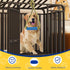 ChengFu Interactive Dog Toys, Crate Training Aids for Puppies, Puppy Teething Toys,Peanut Butter Dog Food Treat