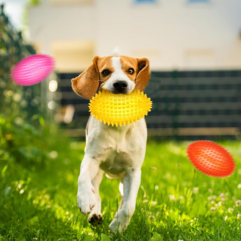 6 Pcs 4.5'' Spiky Squeaker Football Dog Toy - Heavy Duty Rubber Chew Toys for Medium Large Dogs, Spiky Ball Fetch