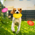 6 Pcs 4.5'' Spiky Squeaker Football Dog Toy - Heavy Duty Rubber Chew Toys for Medium Large Dogs, Spiky Ball Fetch