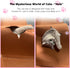 4-Way Interactive Cat Tunnel Mat for Indoor Cats, Felt Cat Cave with Hanging Ball, Foldable Kitty Play Mat and Hideout