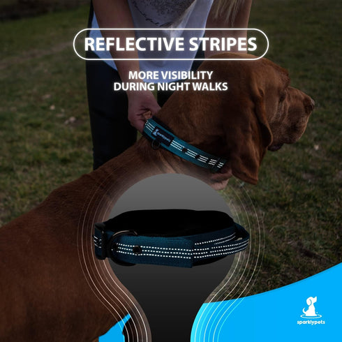 SparklyPets Heavy Duty Dog Collar with Handle for Medium and Large Dogs, Reflective Stitches, Soft Handle (Medium, Blue)