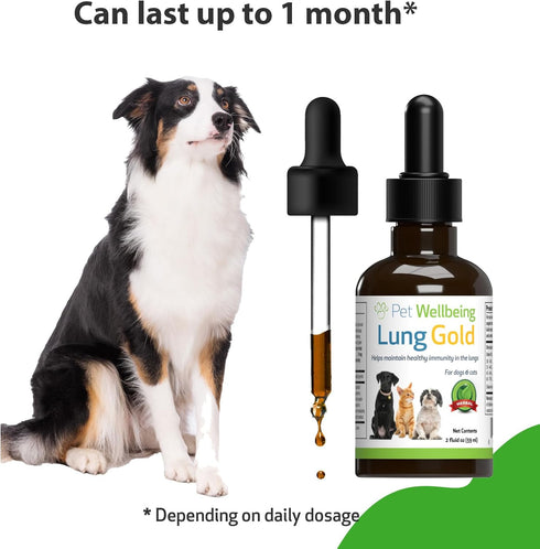 Pet Wellbeing Lung Gold for Dogs, Vet-Formulated Immune Support, 2 oz