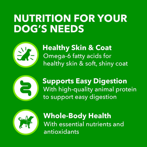 13 oz. Pack 12 IAMS Proactive Health Wet Dog Food Adult, Canned Dog Food, Chicken Chunks in Gravy and Beef Chunks