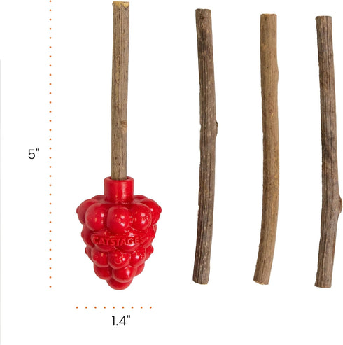 4 Catstages Dental Raspberry Teether with Silvervine Sticks Included, Cat and Kitten Teething Toy, Red