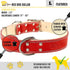 ADITYNA Heavy-Duty Premium Red Leather Dog Collar for Large Dogs - Padded for Walking, Training, Playing