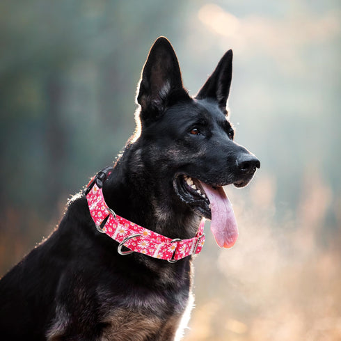 Martingale Collar for Dogs, Rose Daisy Flowers Dog Collar for Small Medium Large Dogs, Adjustable with Quick-Release