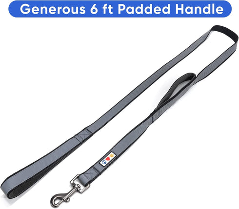 Pawtitas Double Handle Heavy Duty Dog Leash for Training, No Pull Leashes for Medium and Large Dogs - Black