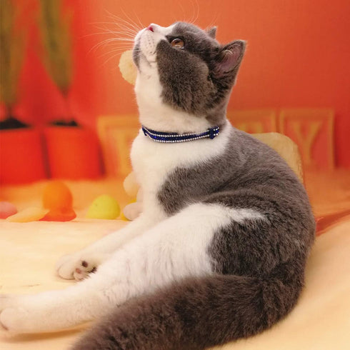 THAIN Basic Adjustable Cat Collar, Bling Diamond Breakaway with Bell, Blue
