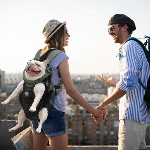 Dog Carrier Backpack, Pet Front Carrier for Small Medium Dogs, Hands-Free Cat Backpack, Airline Approved