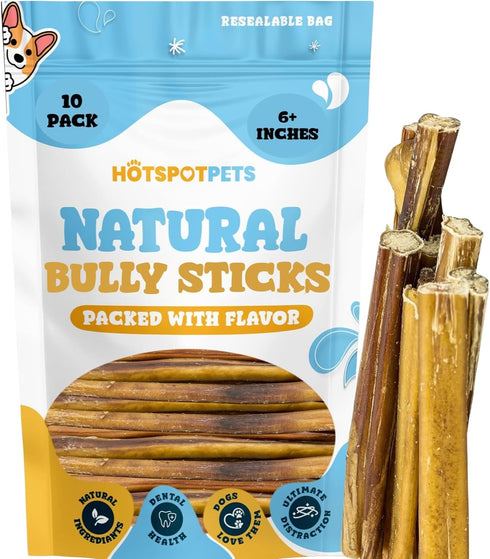 Hotspot Pets Bully Sticks 6 Inch - 10 Pack Premium Natural Long Lasting Beef Pizzle Treats for Medium Dogs